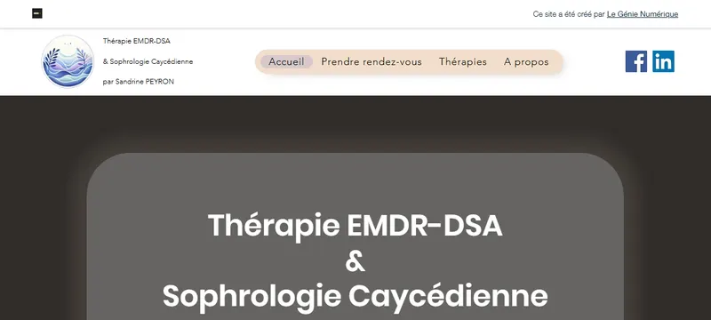 Page d'accueil du site Sandrine Peyron